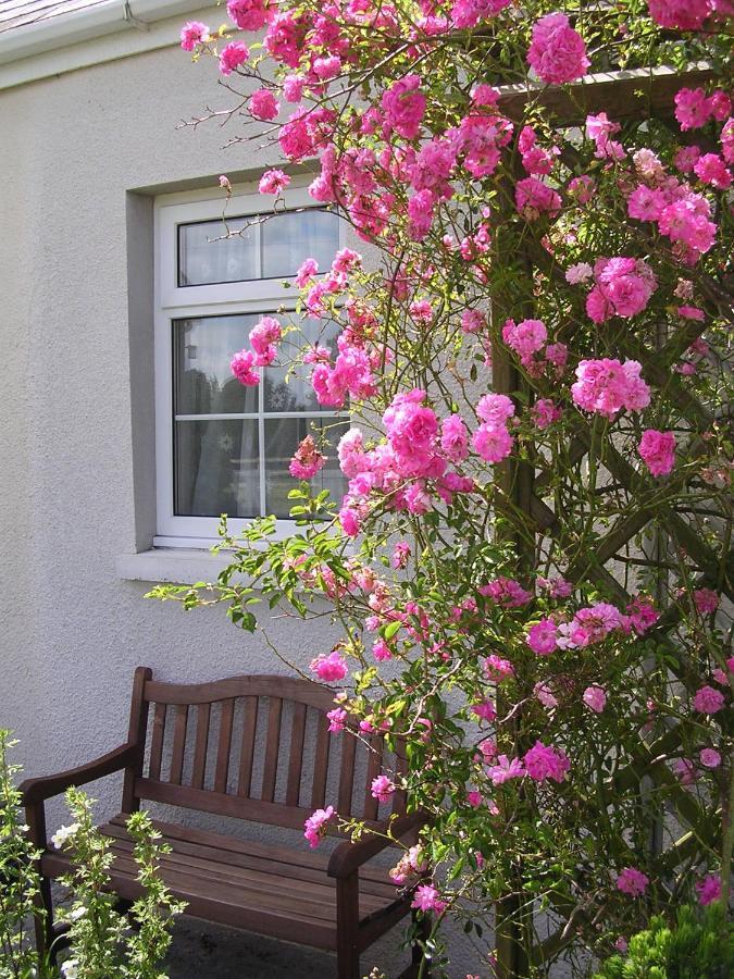 Glascoed Farmhouse Carmarthen Buitenkant foto